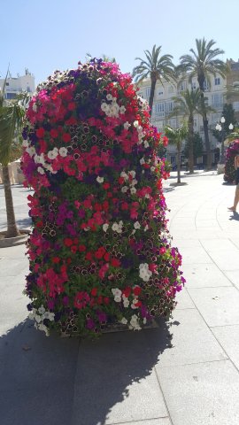 958 cadiz plaza de san juan de dios